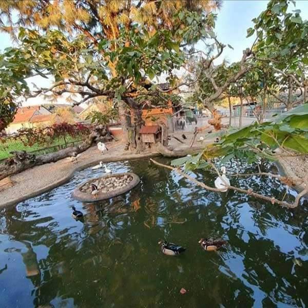 Apartman Normanci Near Bizovac Thermal Spa Экстерьер фото
